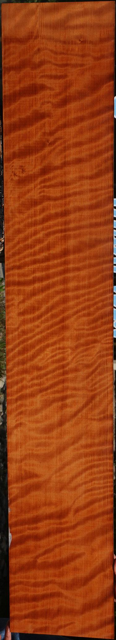 Extra Fancy Curly Quartersawn Redwood Instrument Lumber