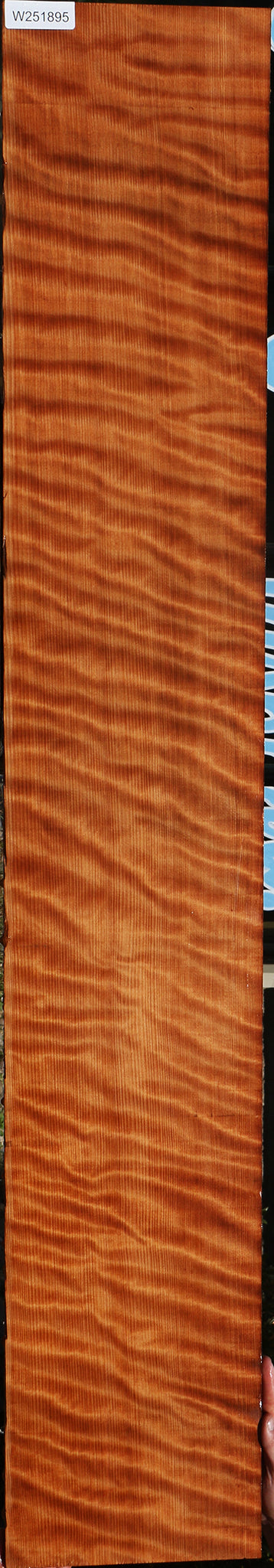 Extra Fancy Curly Quartersawn Redwood Instrument Lumber