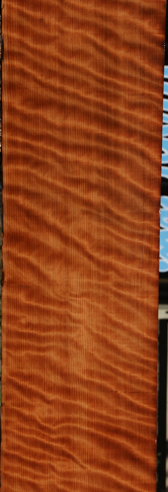 Extra Fancy Curly Quartersawn Redwood Instrument Lumber