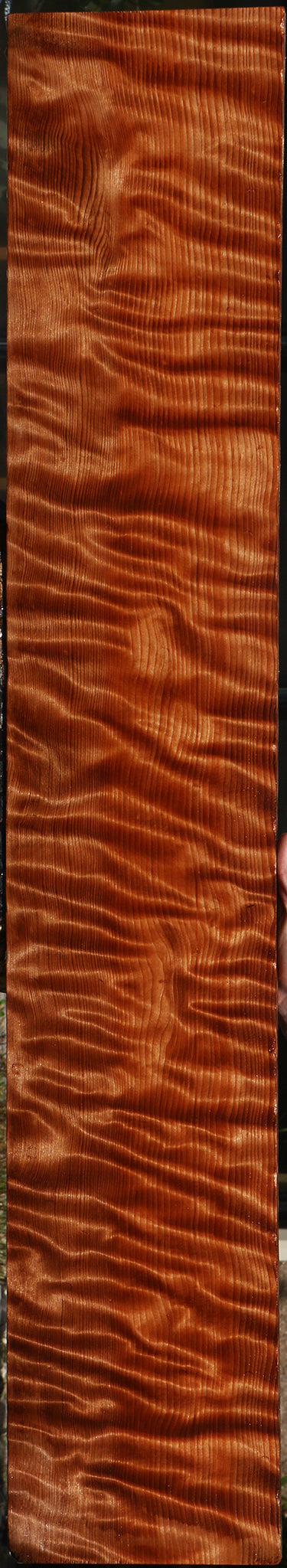 Extra Fancy Curly Quartersawn Redwood Instrument Lumber