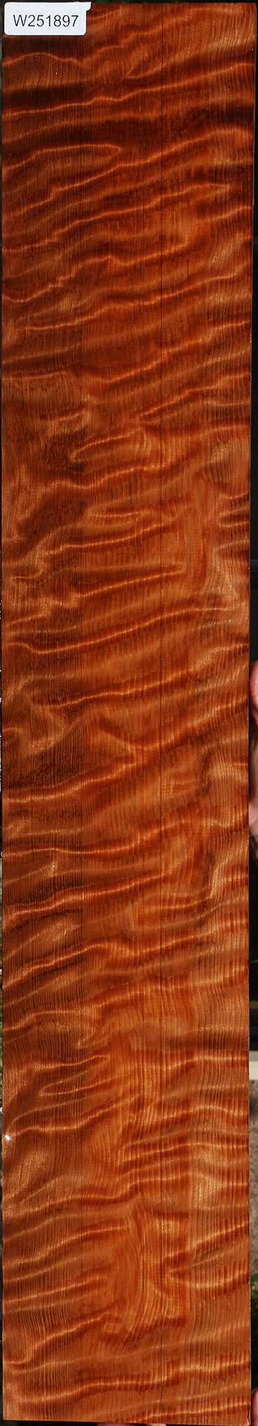 Extra Fancy Curly Quartersawn Redwood Instrument Lumber
