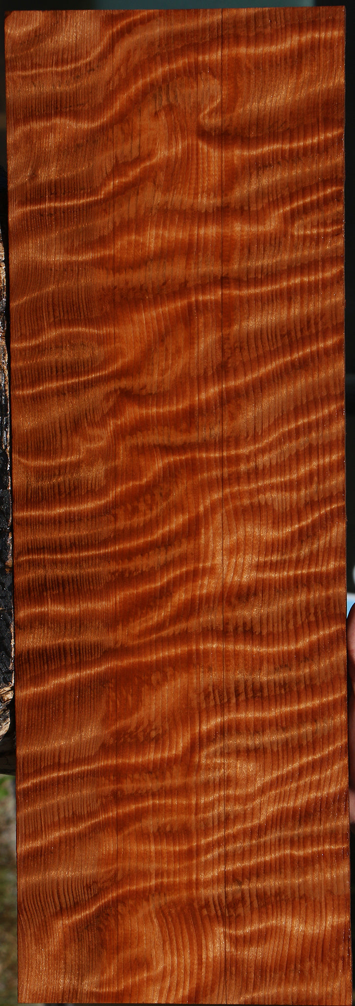 Extra Fancy Curly Quartersawn Redwood Instrument Lumber