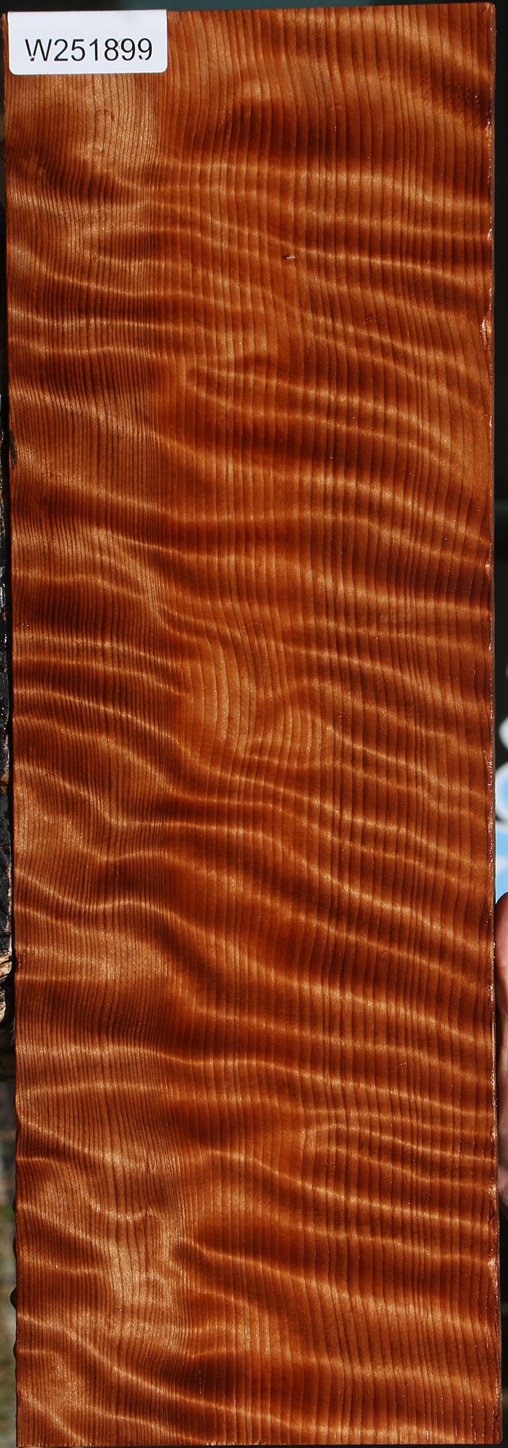 Extra Fancy Curly Quartersawn Redwood Instrument Lumber