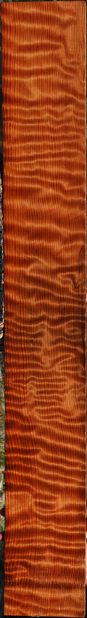 Extra Fancy Curly Redwood Lumber