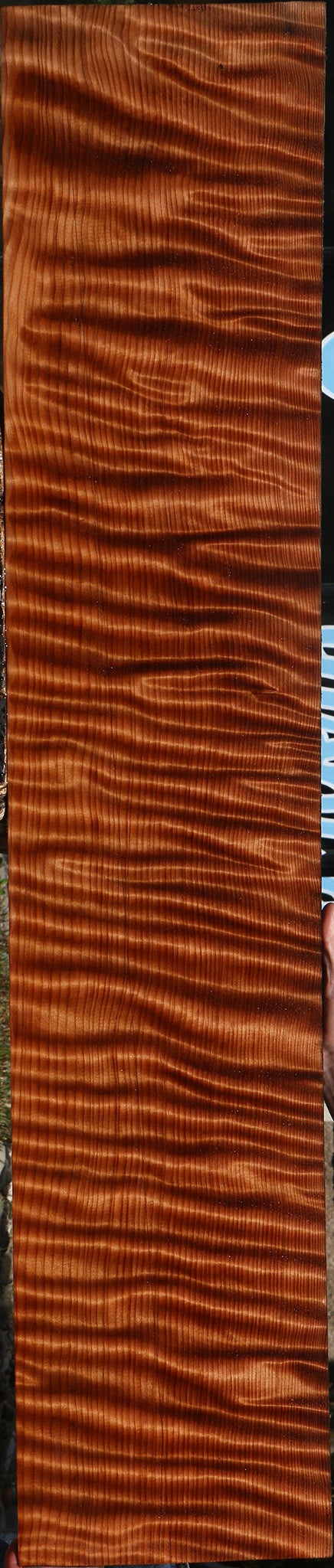 Extra Fancy Curly Redwood Instrument Micro Lumber