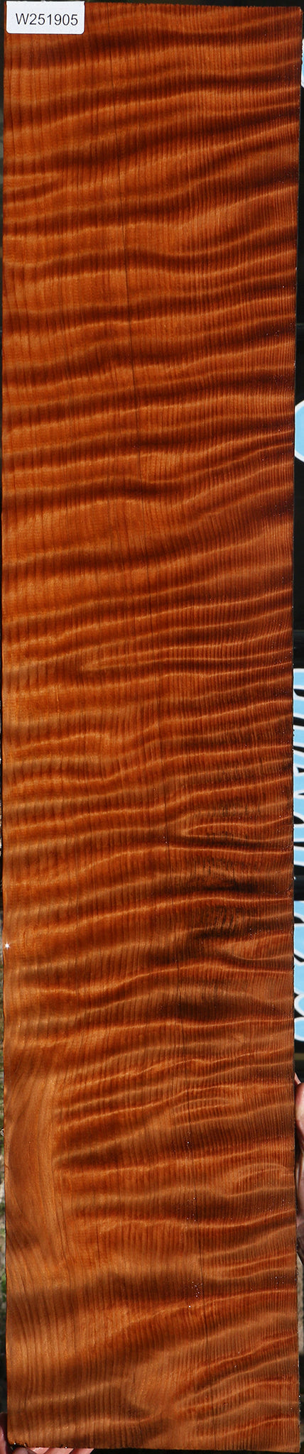 Extra Fancy Curly Redwood Instrument Micro Lumber