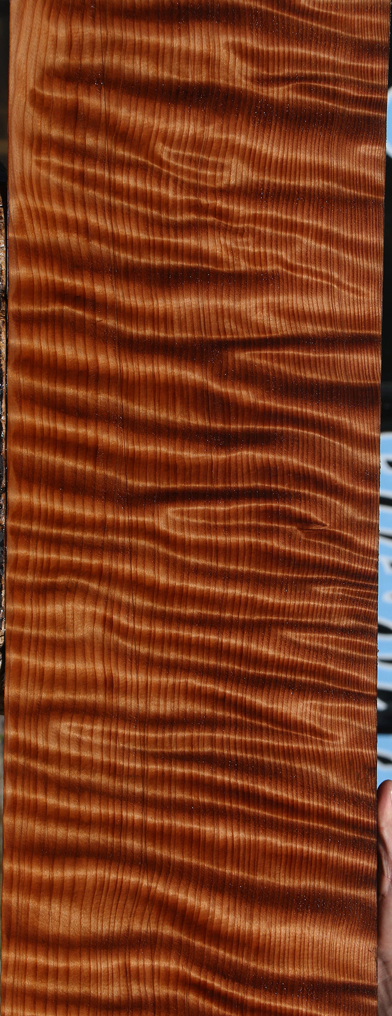 Extra Fancy Curly Redwood Instrument Micro Lumber