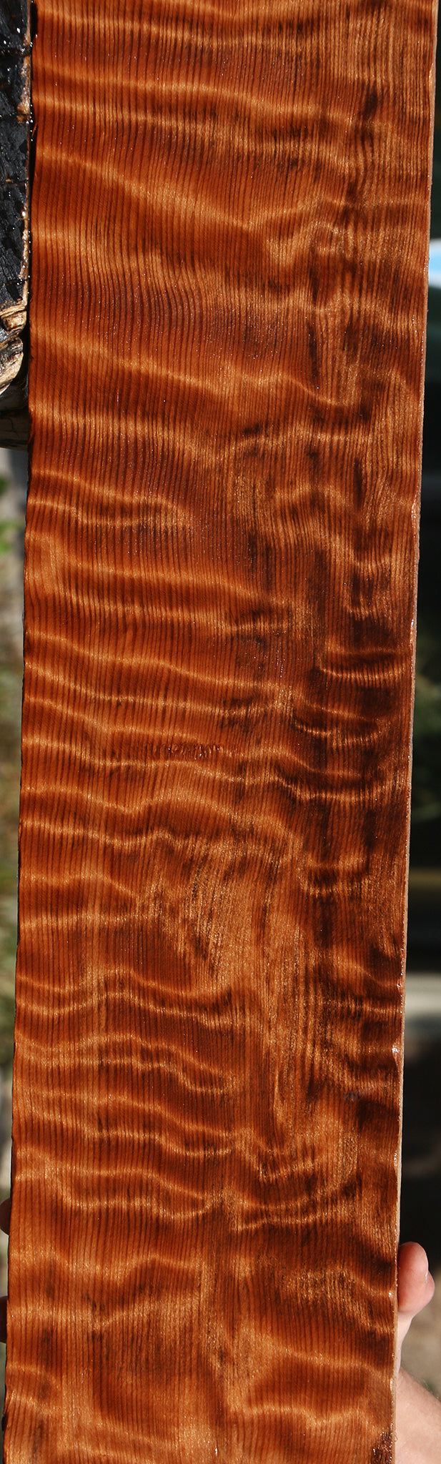 Extra Fancy Curly Redwood Lumber