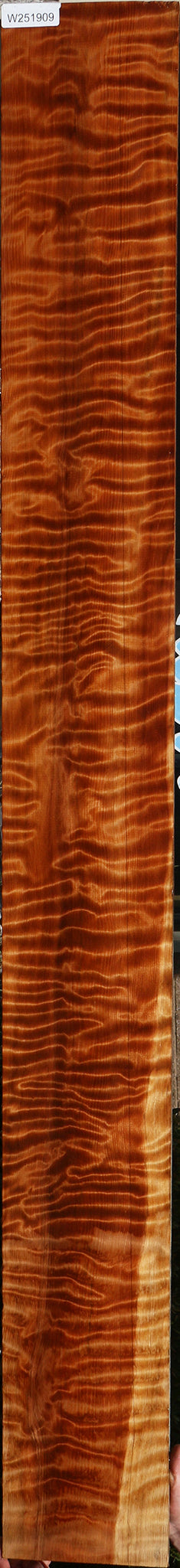 Extra Fancy Curly Redwood Micro Lumber