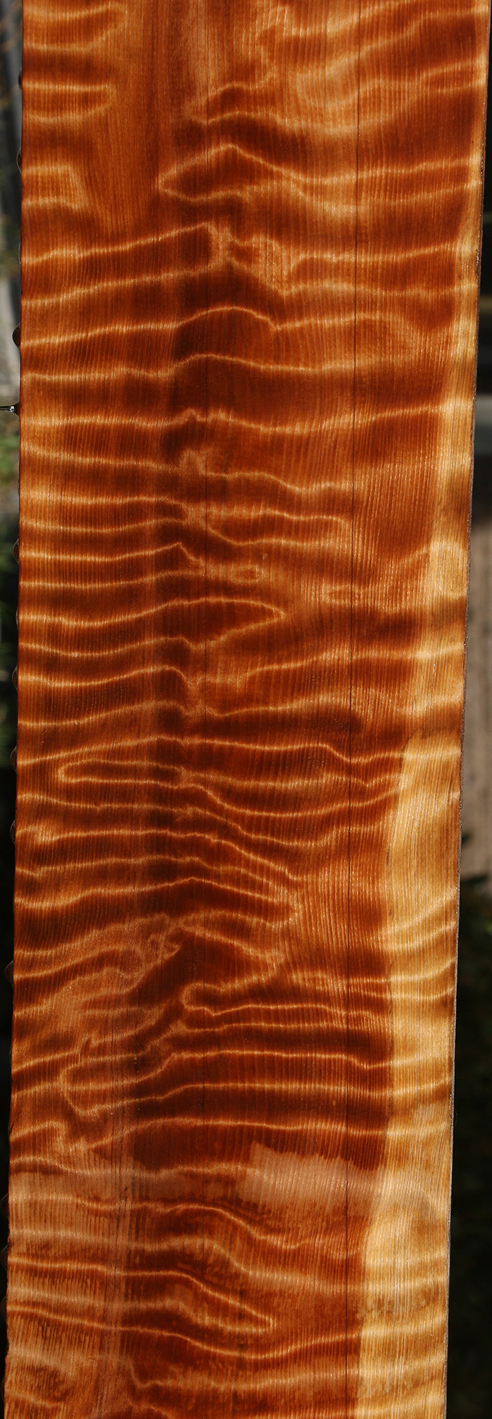 Extra Fancy Curly Redwood Micro Lumber