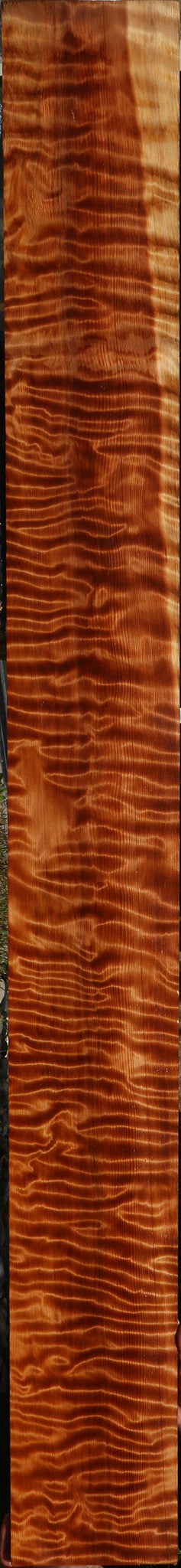 Extra Fancy Curly Redwood Micro Lumber