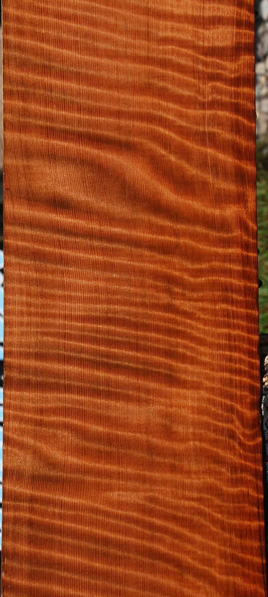 Extra Fancy Curly Quartersawn Redwood Instrument Lumber