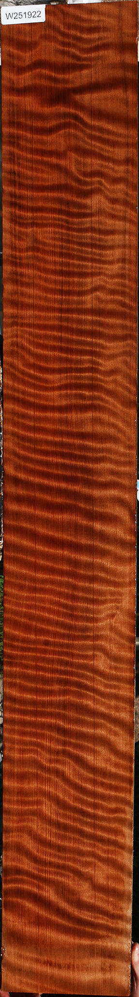 Extra Fancy Curly Redwood Instrument Lumber
