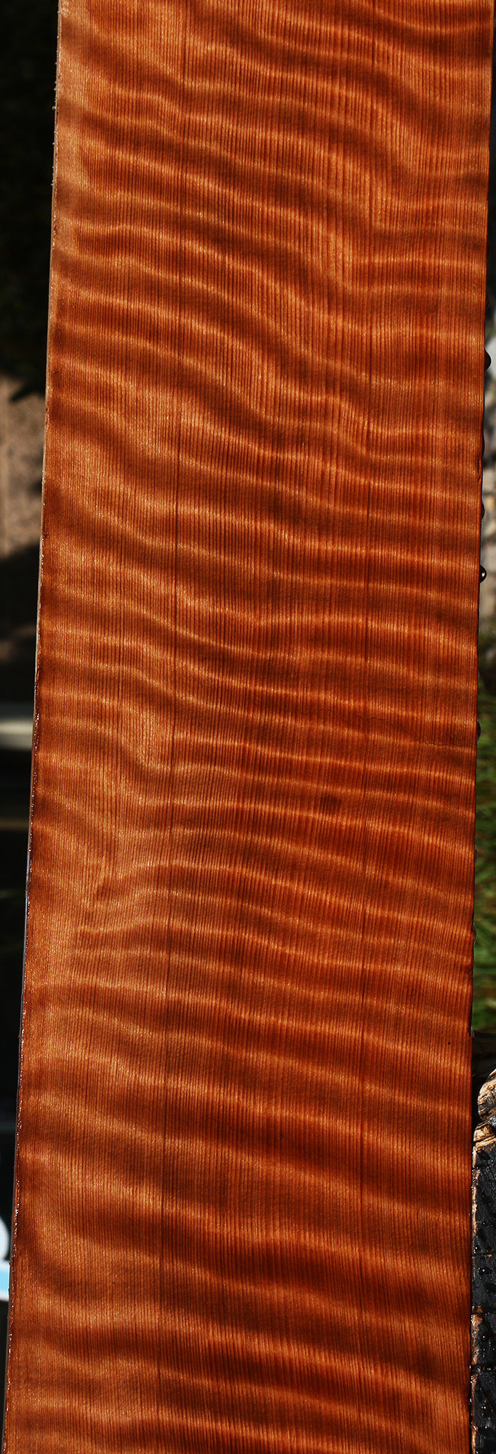 Extra Fancy Curly Redwood Instrument Lumber