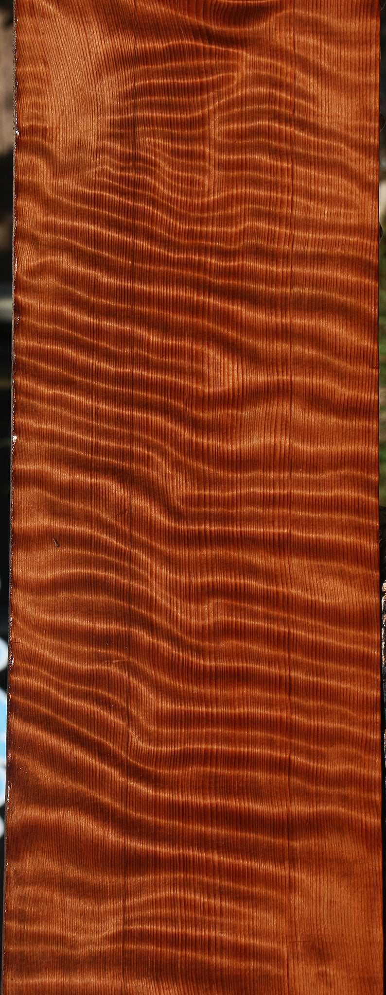Extra Fancy Curly Redwood Lumber