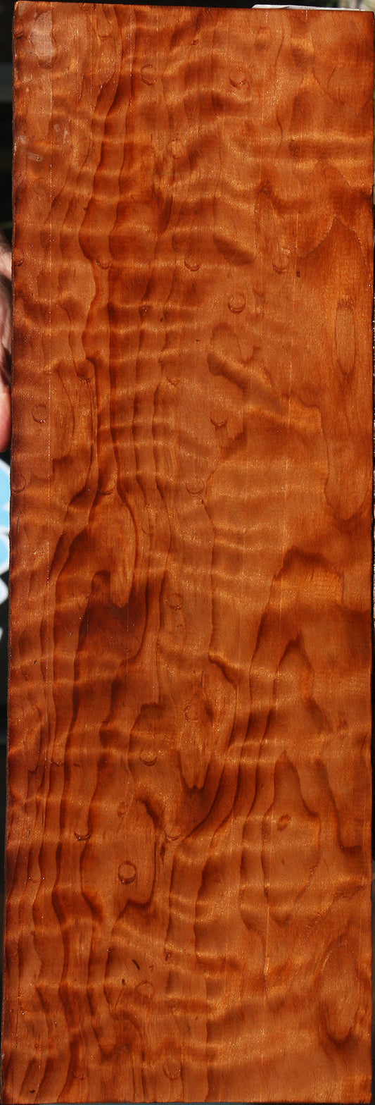 Extra Fancy Curly Redwood Micro Lumber