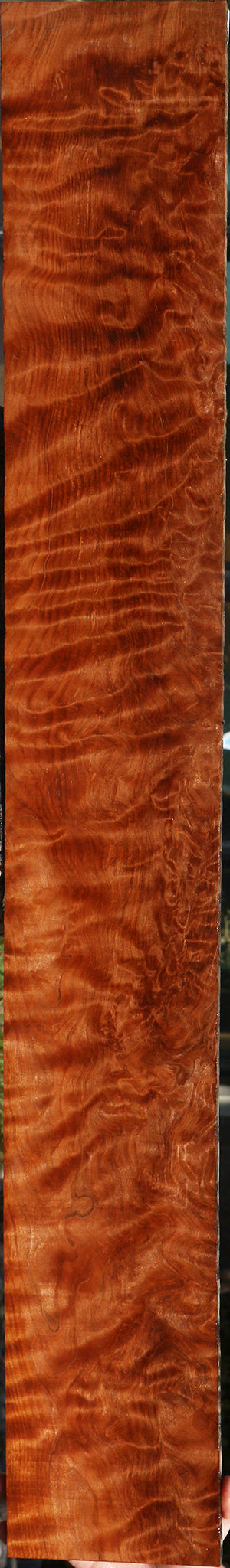 Exhibition Curly Redwood Lumber