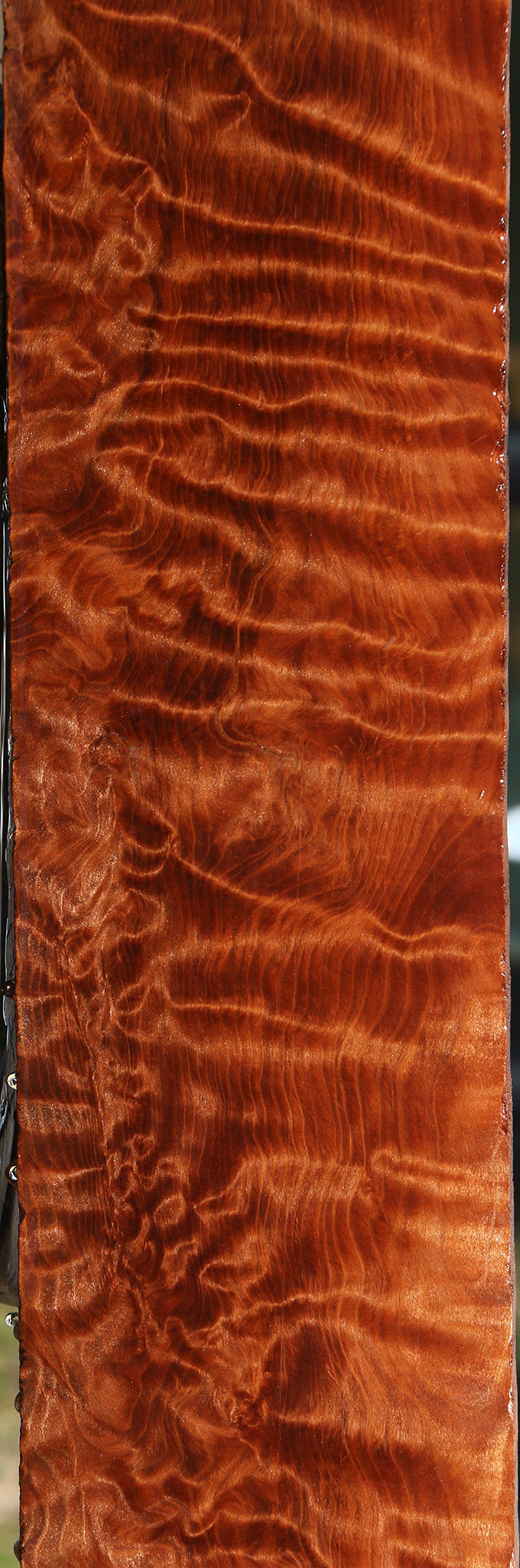 Exhibition Curly Redwood Lumber