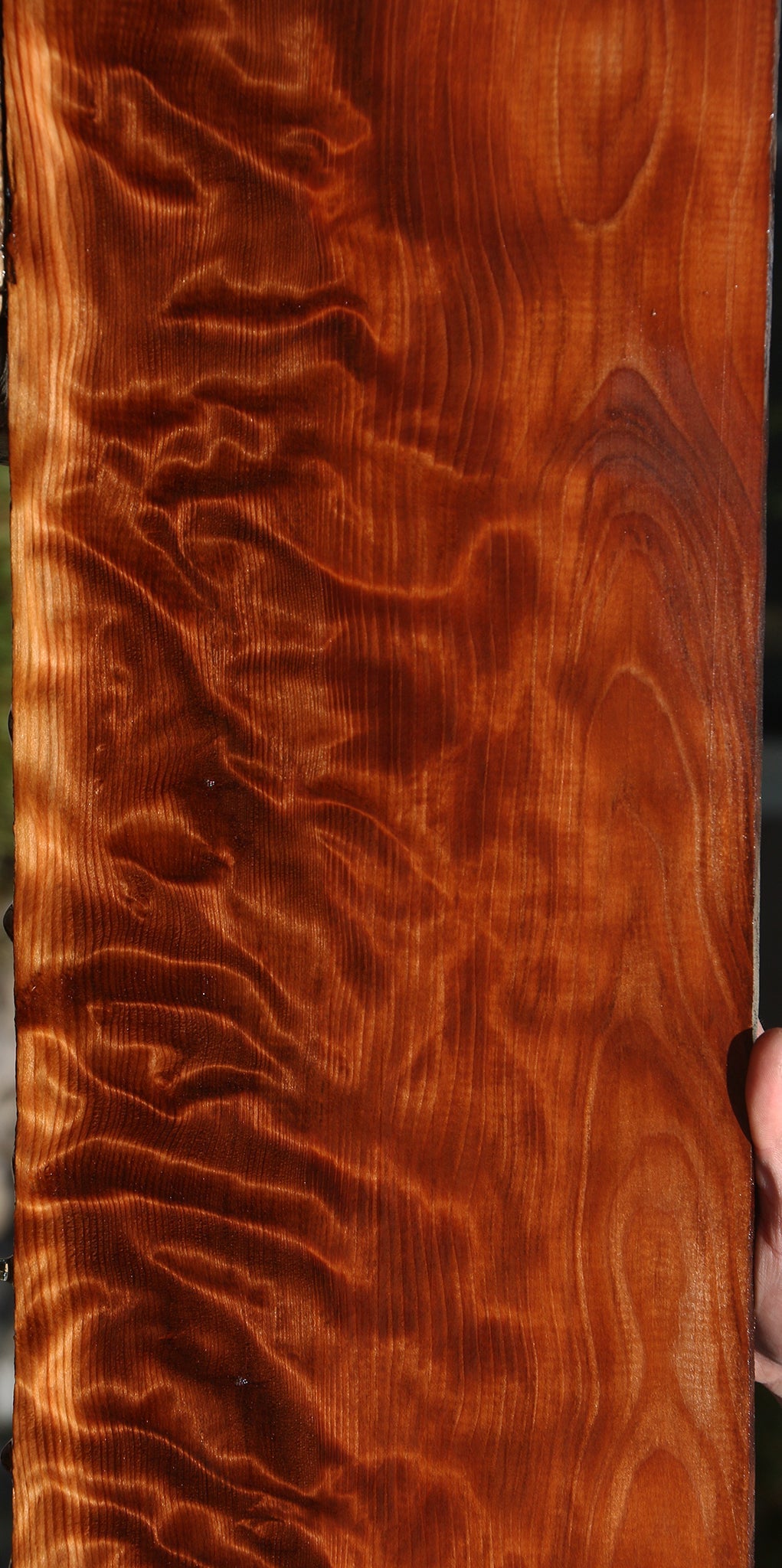Extra Fancy Curly Redwood Lumber