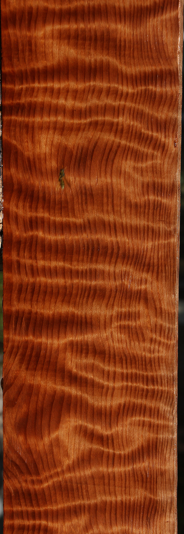 Extra Fancy Curly Redwood Lumber