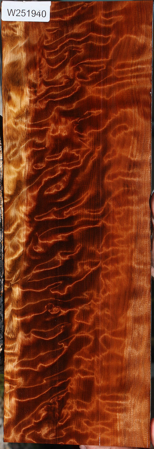 Exhibition Curly Redwood Instrument Lumber
