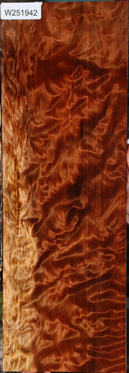 Exhibition Curly Redwood Instrument Lumber