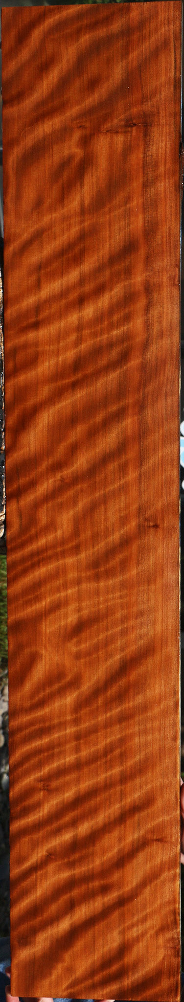 Extra Fancy Curly Quartersawn Redwood Instrument Lumber