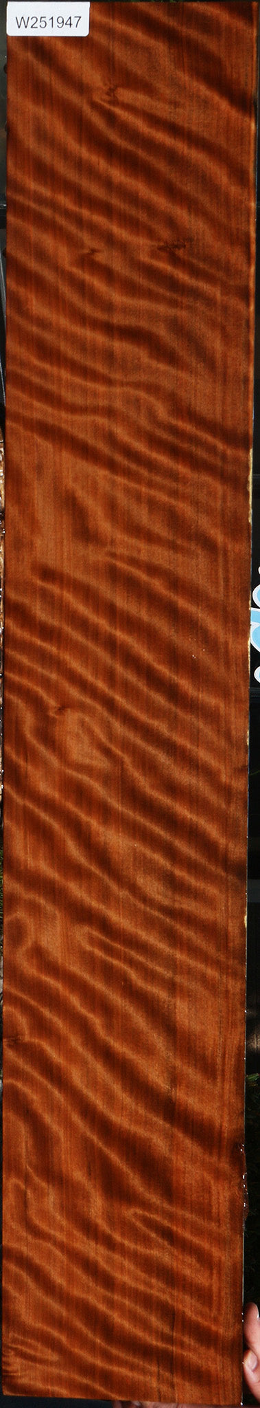 Extra Fancy Curly Quartersawn Redwood Instrument Lumber