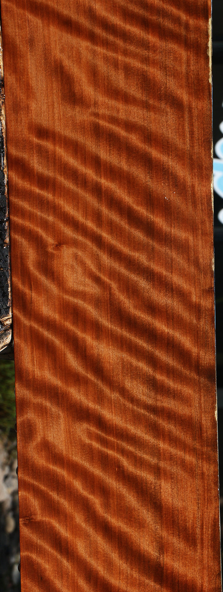 Extra Fancy Curly Quartersawn Redwood Instrument Lumber