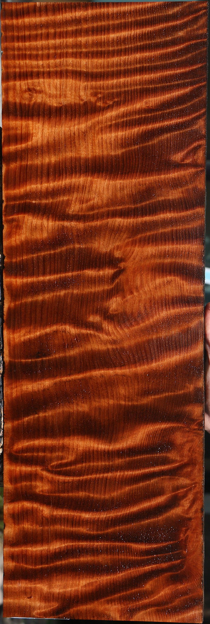 Extra Fancy Curly Quartersawn Redwood Micro Lumber