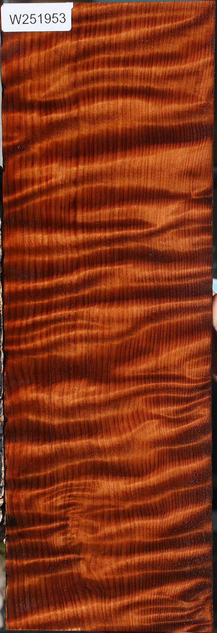 Extra Fancy Curly Redwood Micro Lumber