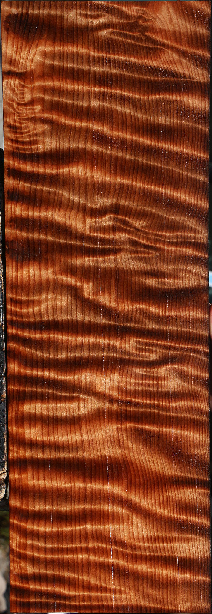 Extra Fancy Curly Redwood Micro Lumber