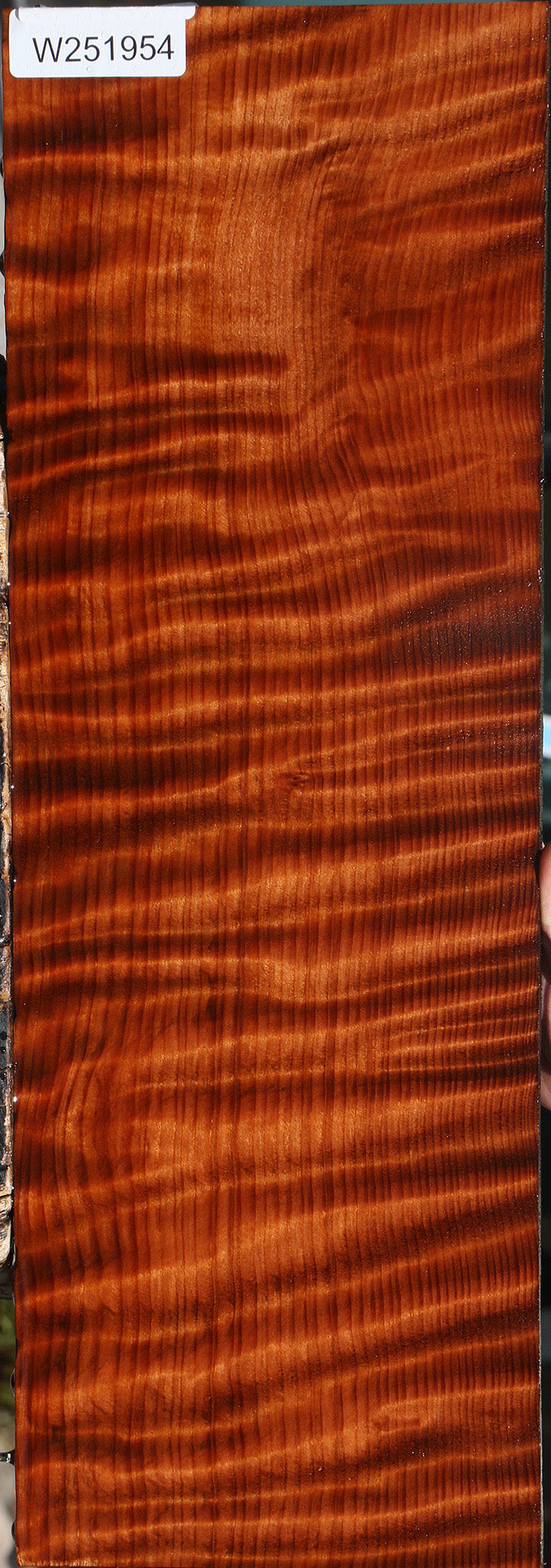 Extra Fancy Curly Quartersawn Redwood Micro Lumber