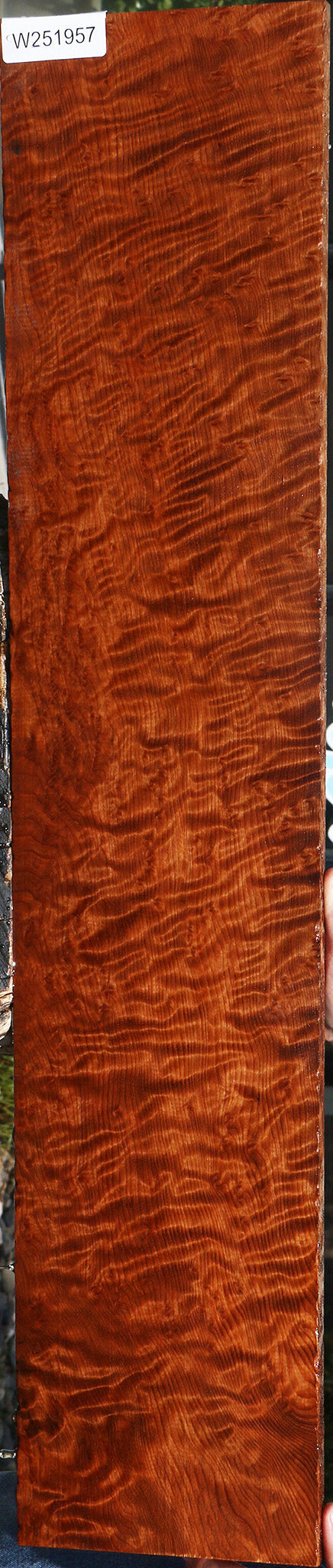 Exhibition Curly Redwood Burl Instrument Lumber