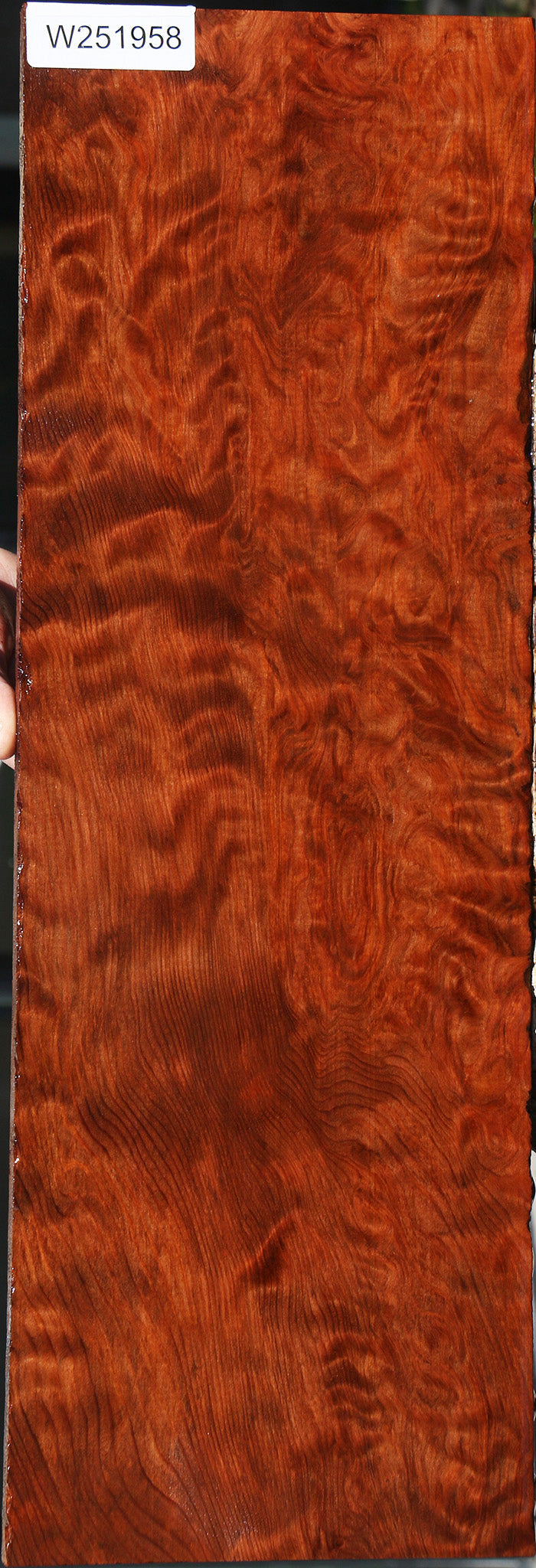 Extra Fancy Curly Redwood Instrument Lumber