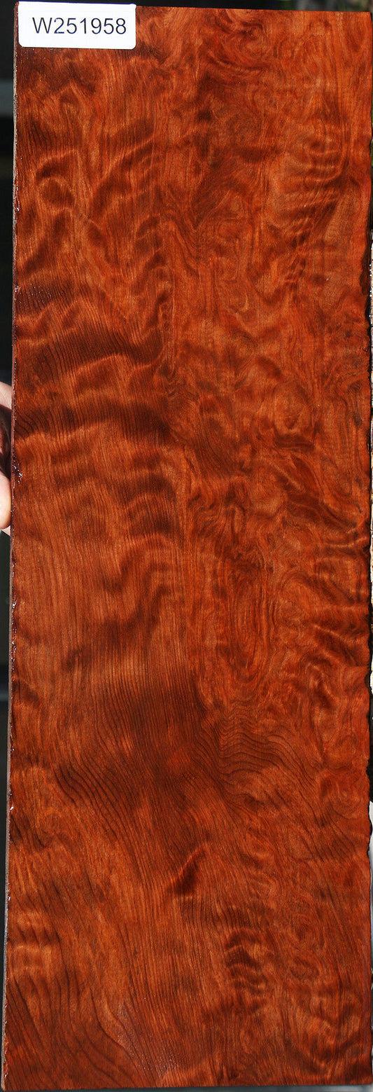 Extra Fancy Curly Redwood Instrument Lumber