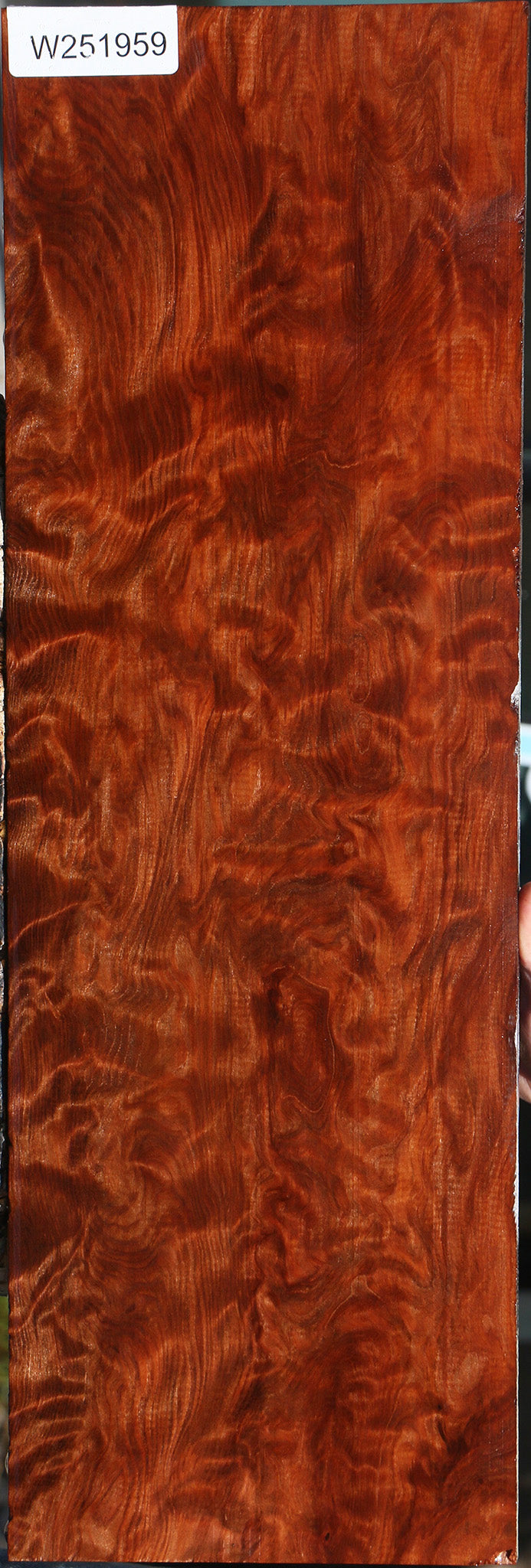 Extra Fancy Curly Redwood Instrument Lumber