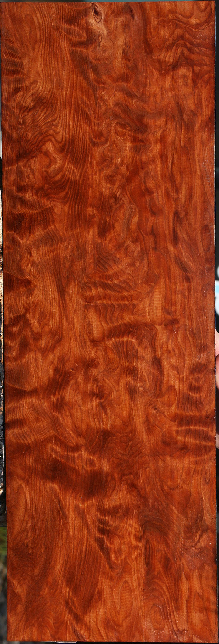 Extra Fancy Curly Redwood Instrument Lumber
