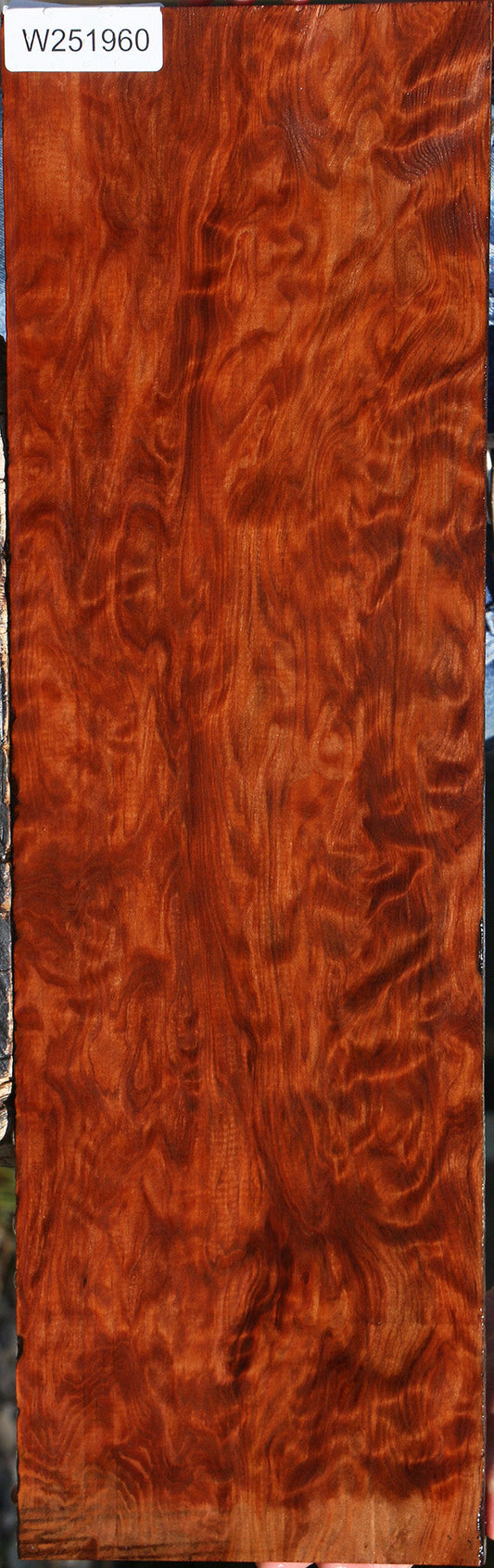 Extra Fancy Curly Redwood Instrument Lumber