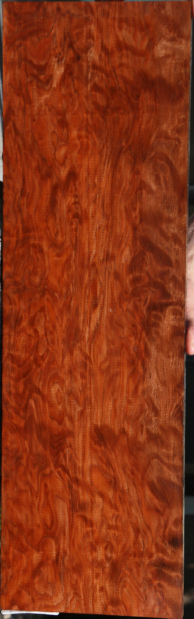 Extra Fancy Curly Redwood Instrument Lumber