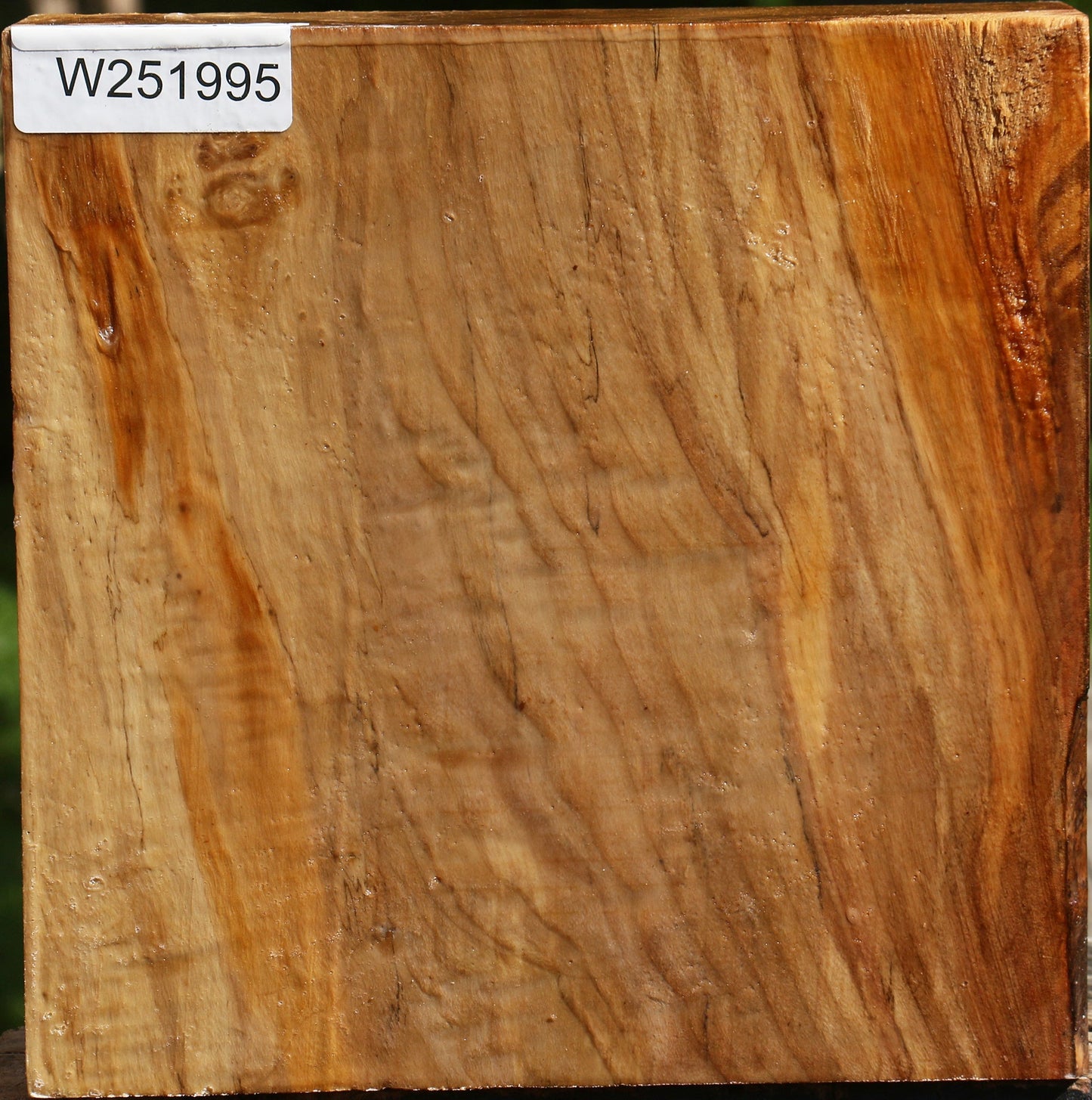 Figured California Cottonwood Bowl Blank