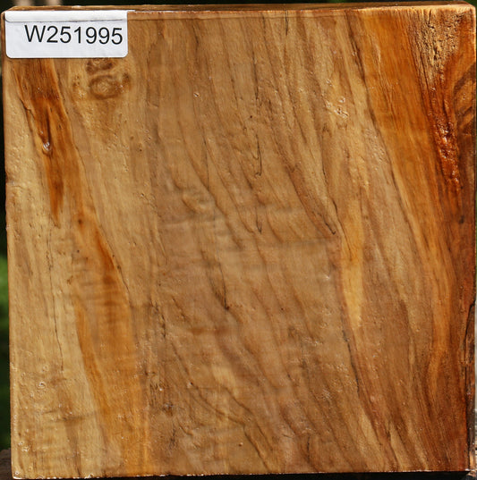 Figured California Cottonwood Bowl Blank