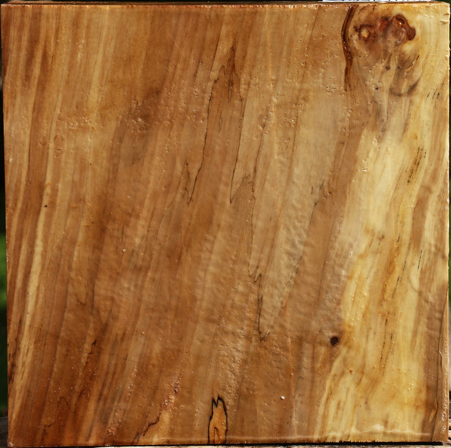 Figured California Cottonwood Bowl Blank