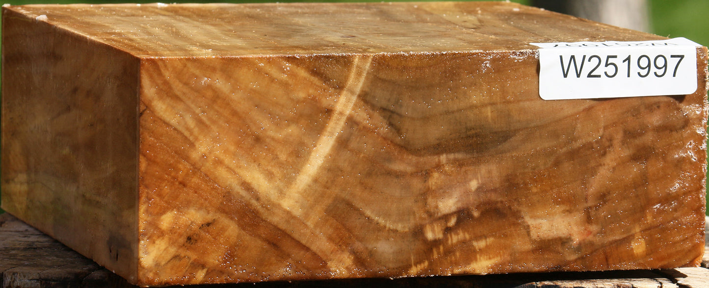 California Cottonwood Bowl Blank