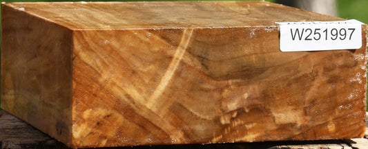 California Cottonwood Bowl Blank