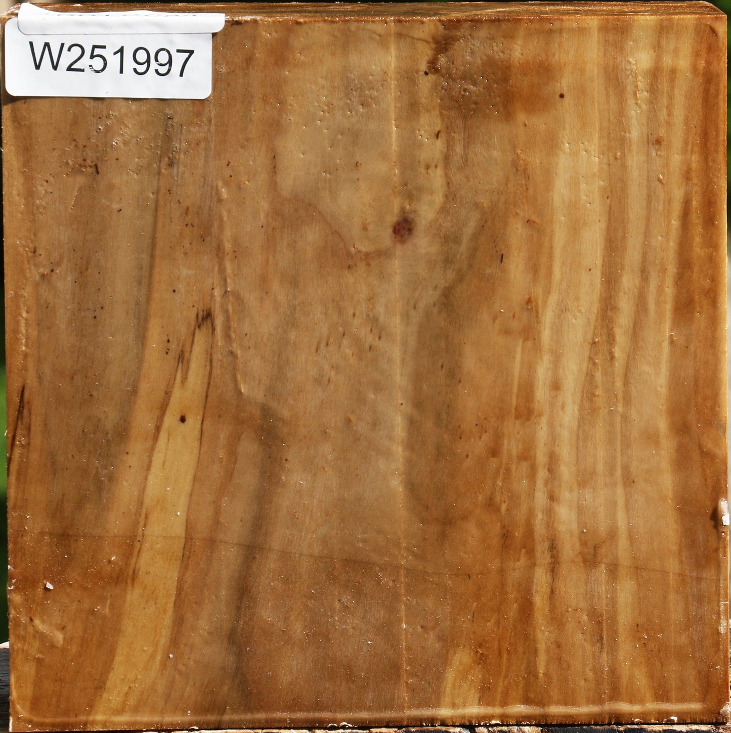 California Cottonwood Bowl Blank