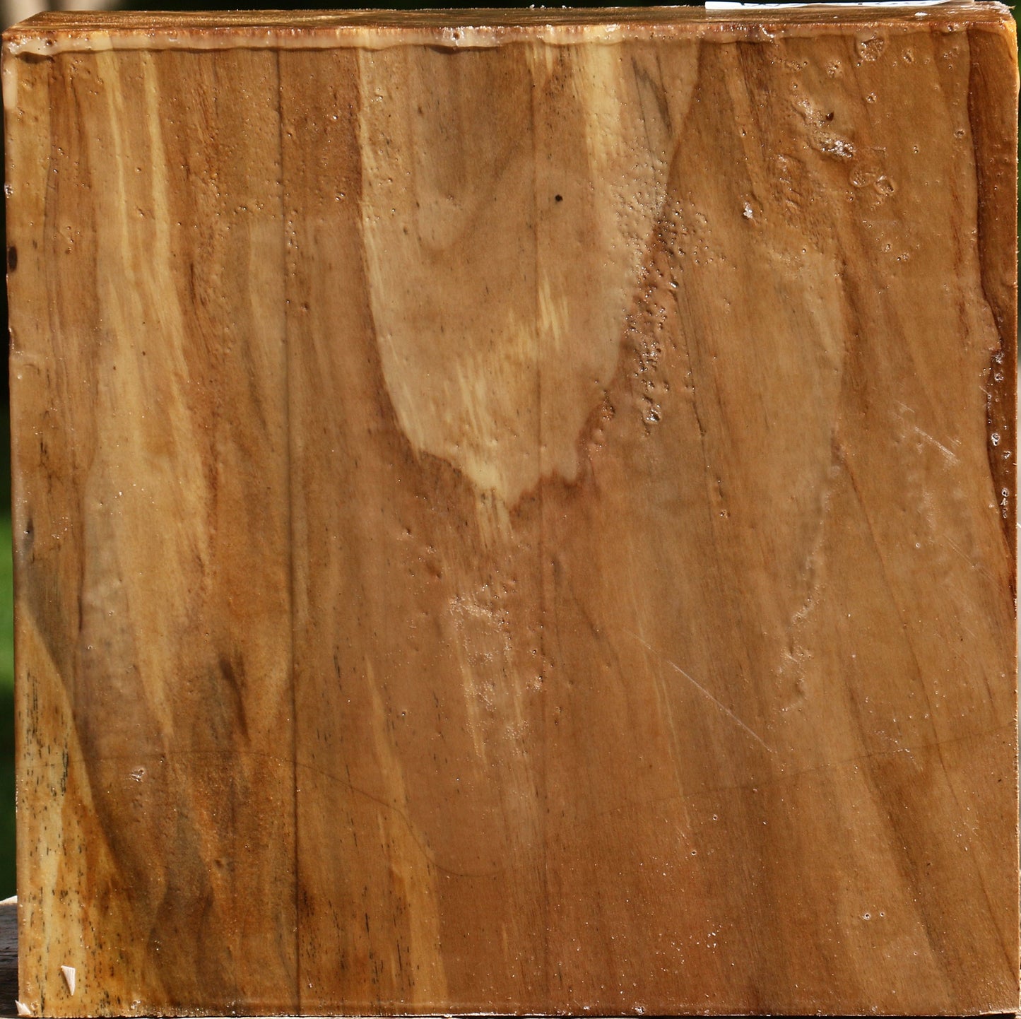 California Cottonwood Bowl Blank
