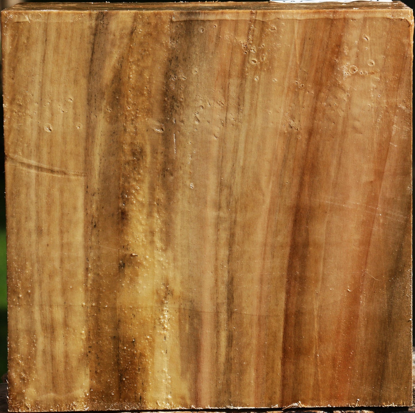 California Cottonwood Bowl Blank