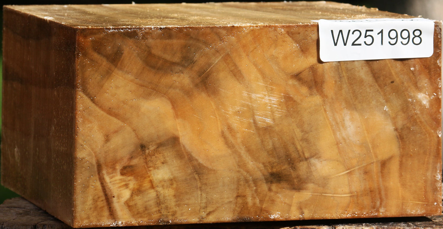 California Cottonwood Bowl Blank