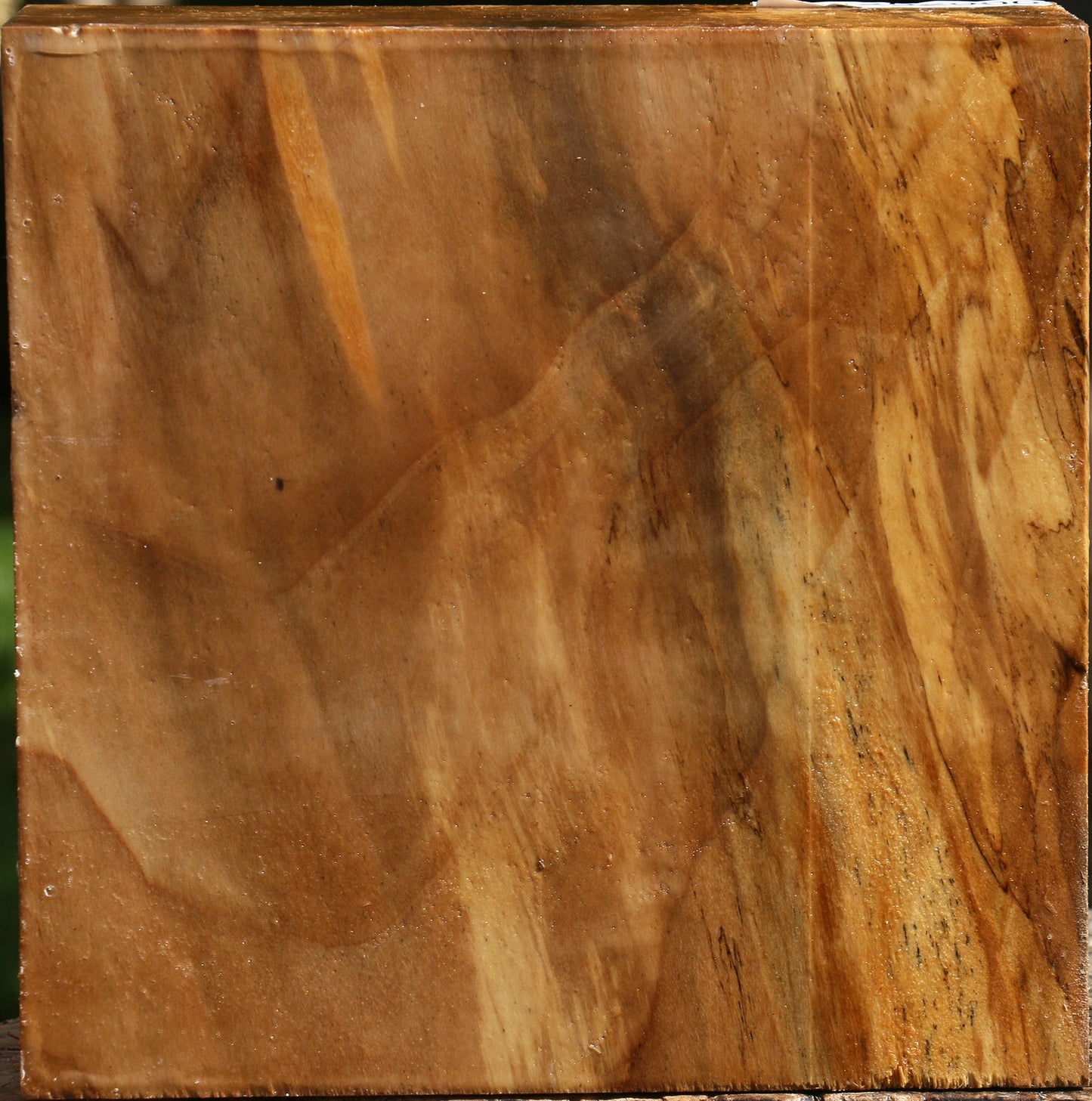 California Cottonwood Bowl Blank
